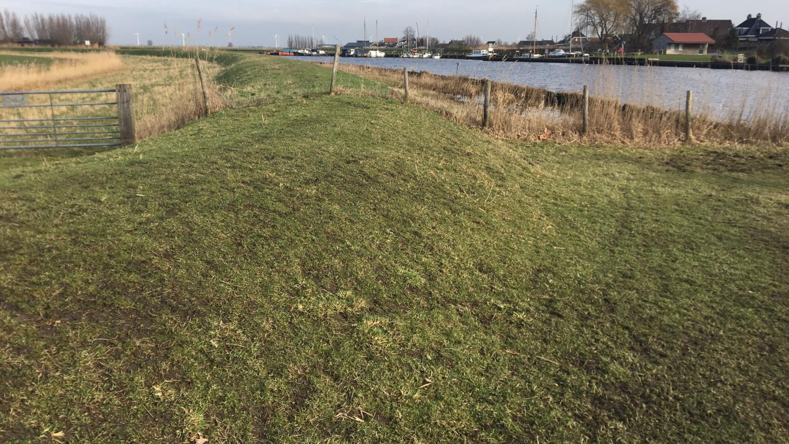 Rivier met groen weiland en huizen op de achtergrond bij de Maatpolderkade