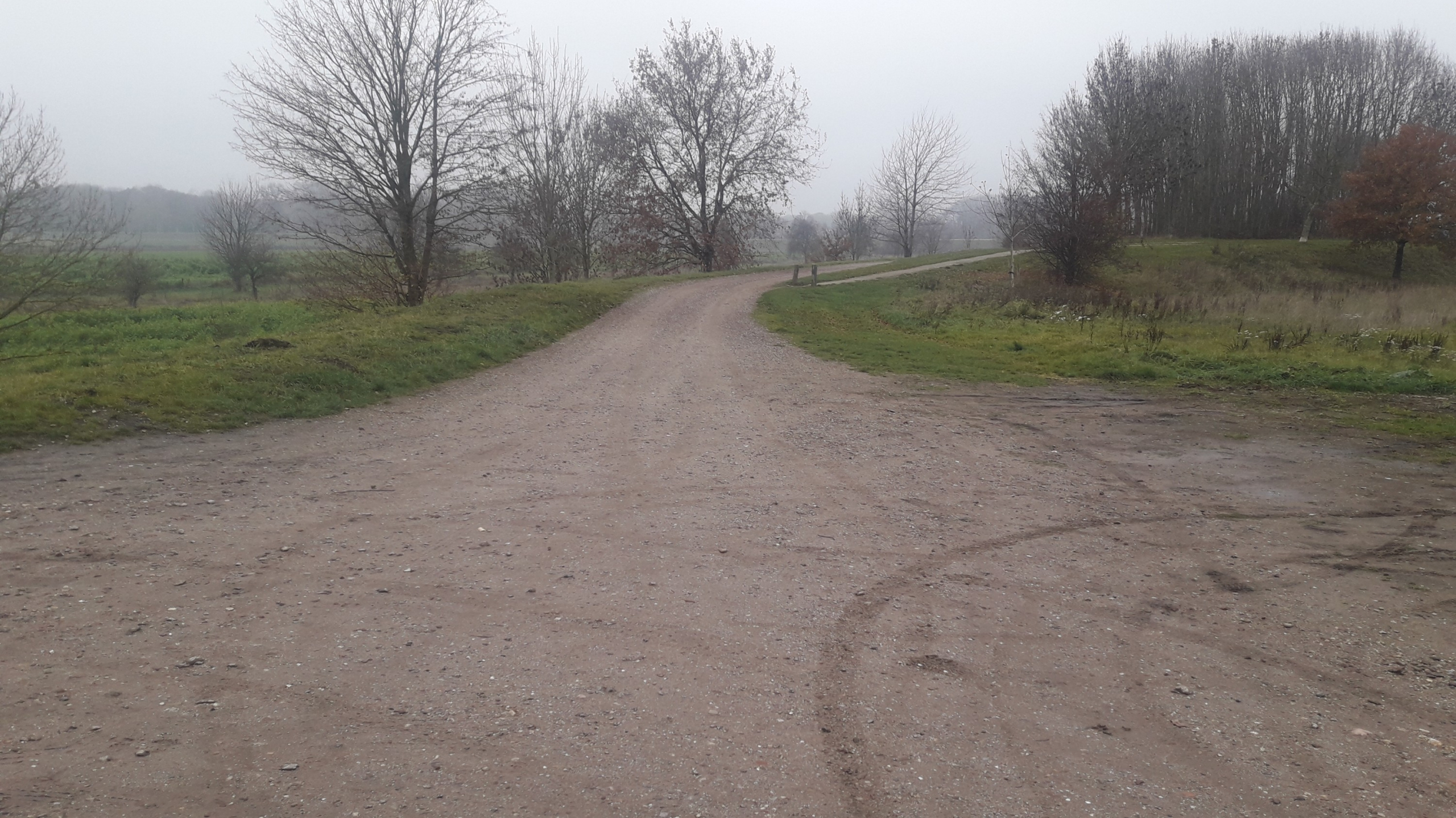 Zandweg door de natuur op een mistige dag