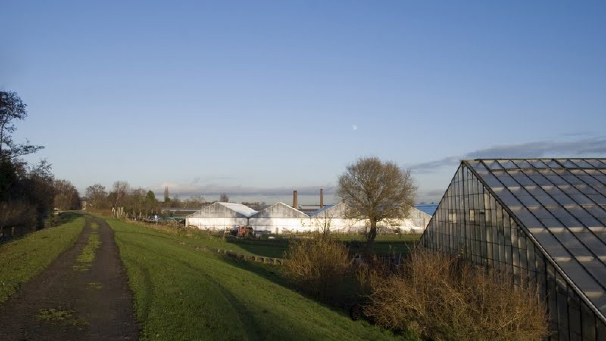 Kassen naast een zandweg in Aalsmeer
