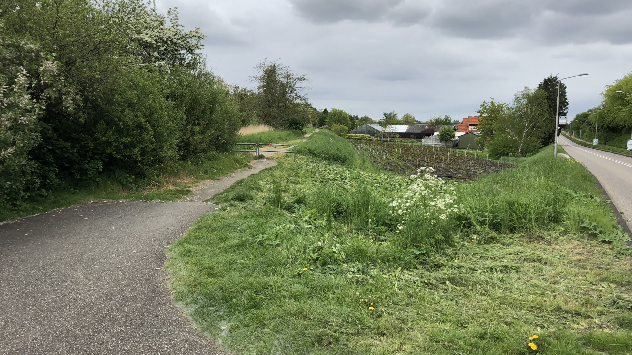 Weg en fietspad in Aalsmeer met huizen op de achtergrond
