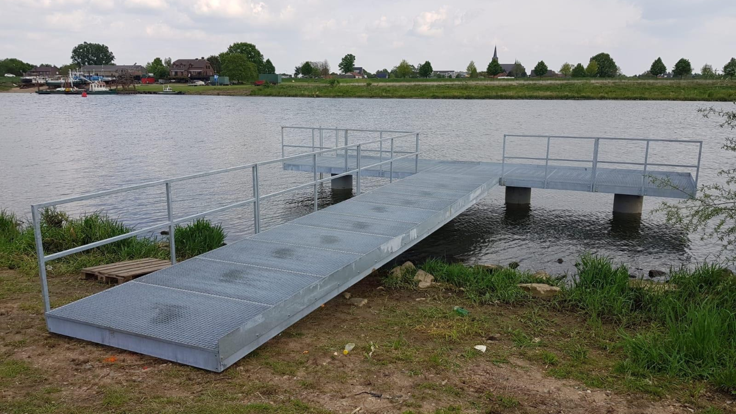 Grijze t-stijger op het water van de Maas