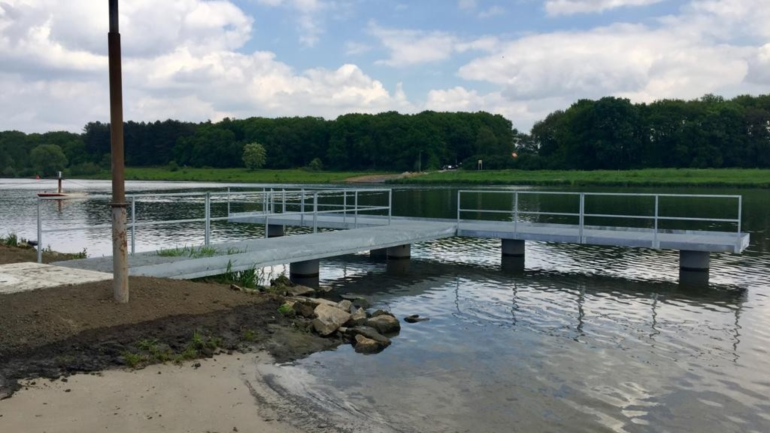 Grijze t-stijger op het water van de Maas