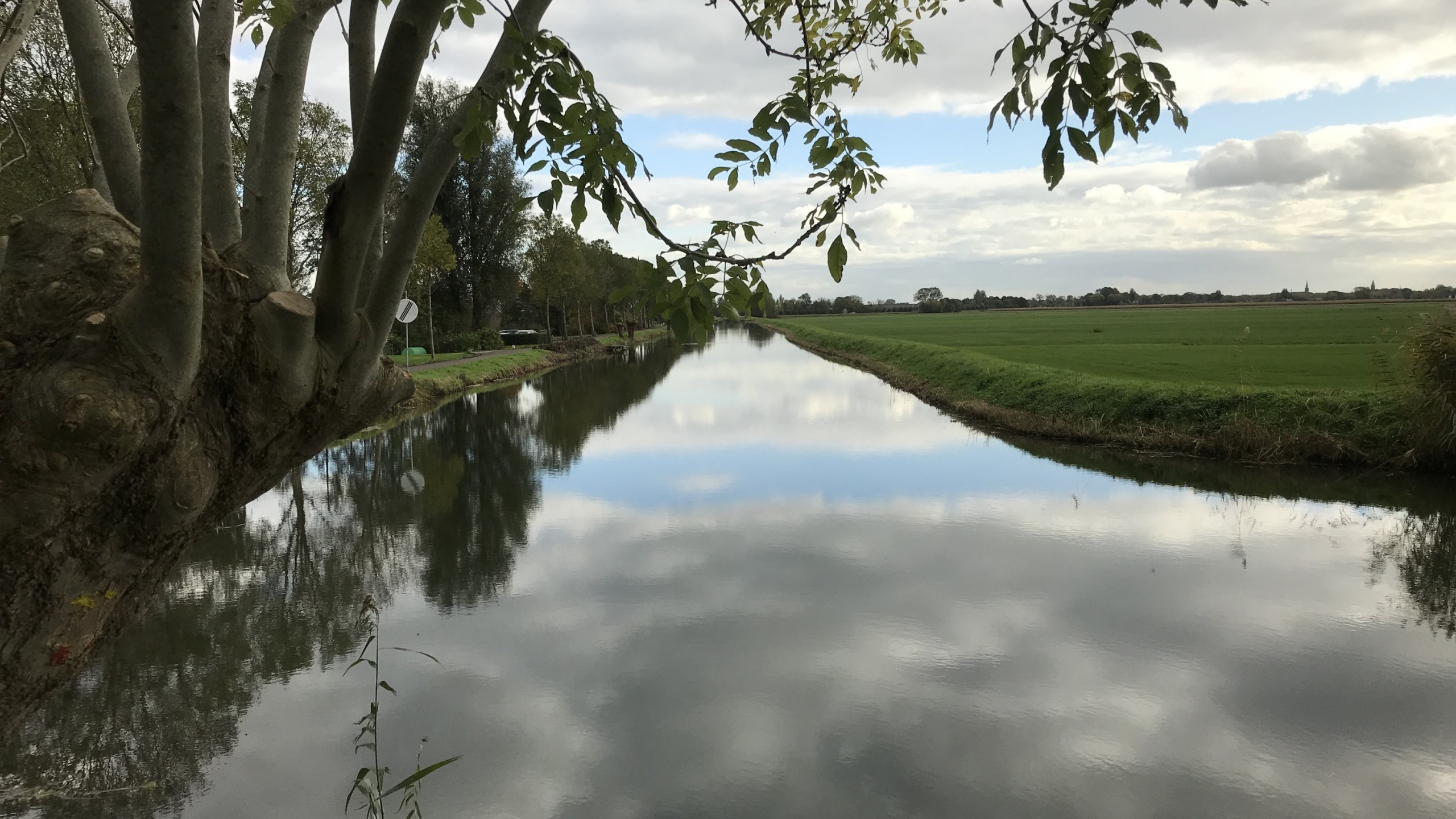 Rivier met bomen en groen gras ernaast