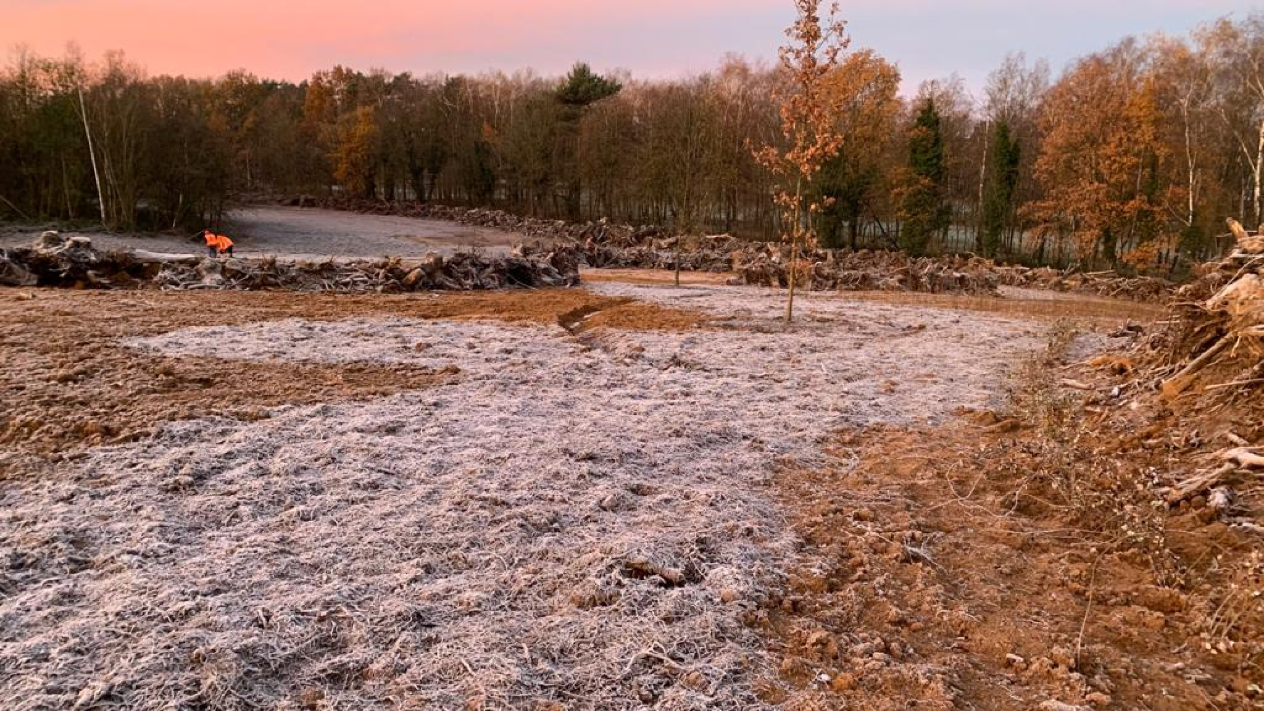 Projectgebied Ecoduct Teverenerheide in de vorst met zonsondergang