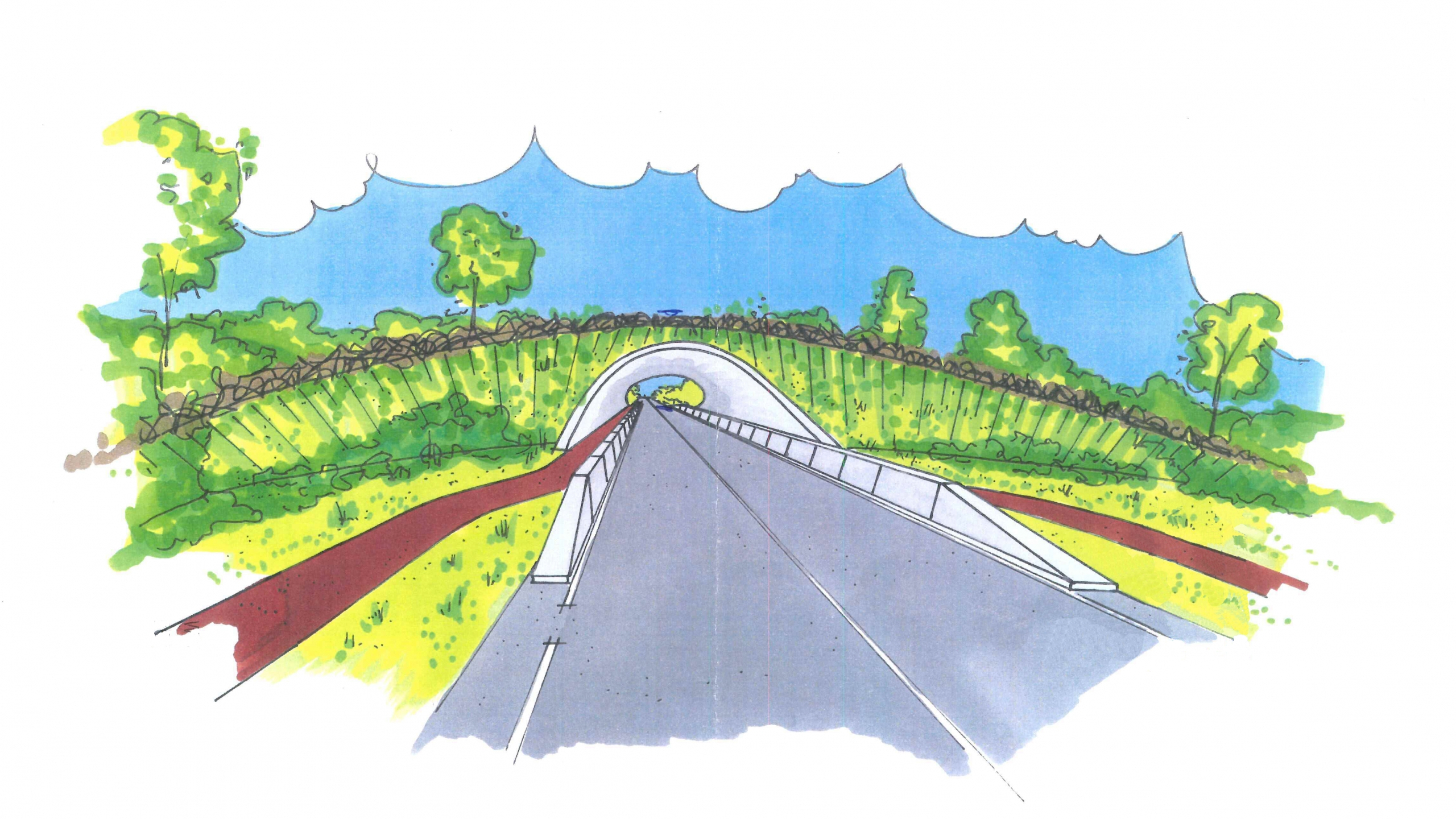 Tekening van Ecoduct Teverenerheide plan door Ploegam