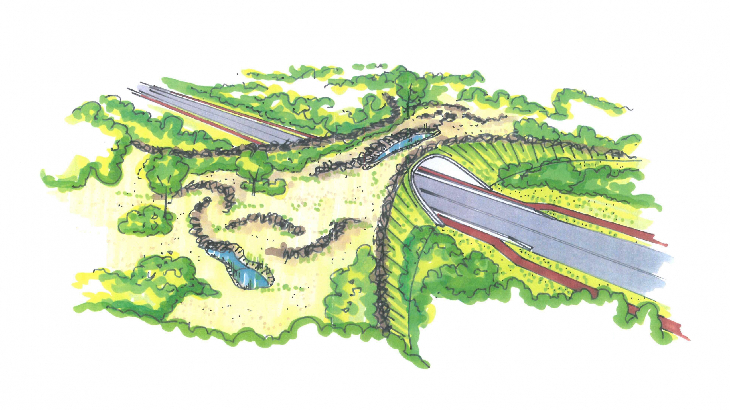 Tekening van Ecoduct Teverenerheide plan door Ploegam