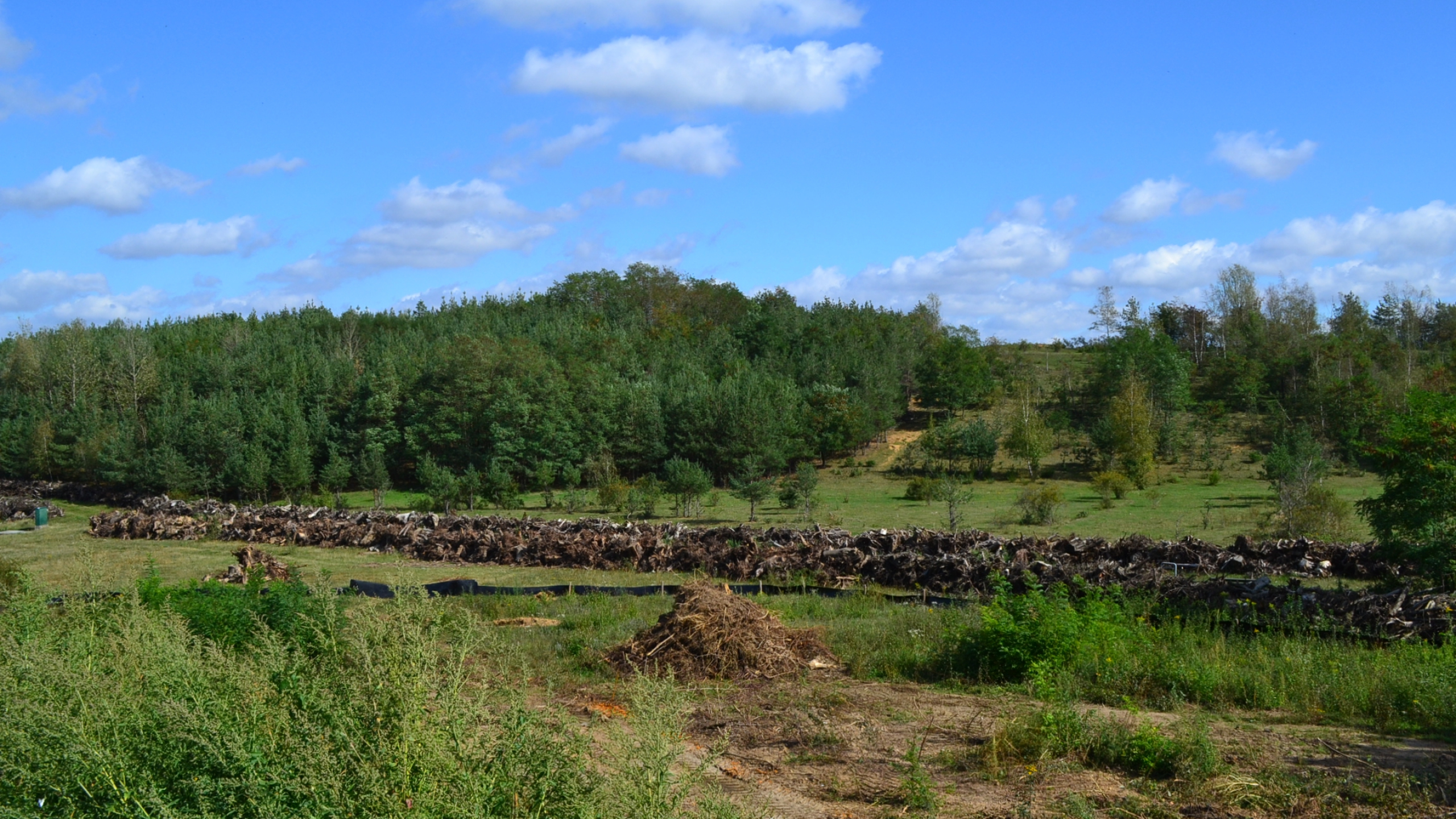 Groen landschap met bruine hopen zand en puin en bomen in de achtergrond