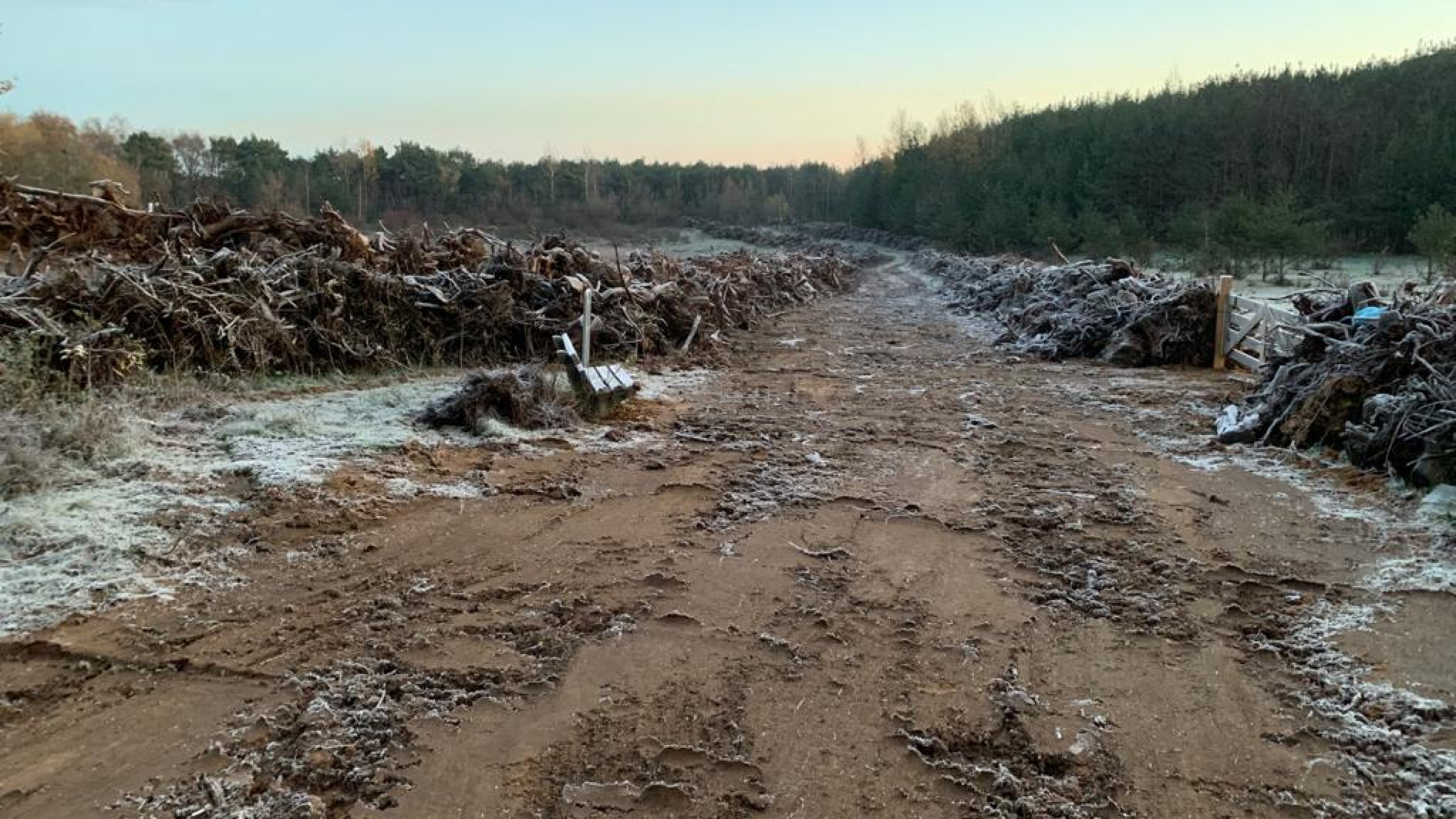 Projectgebied Ecoduct Teverenerheide in de vorst