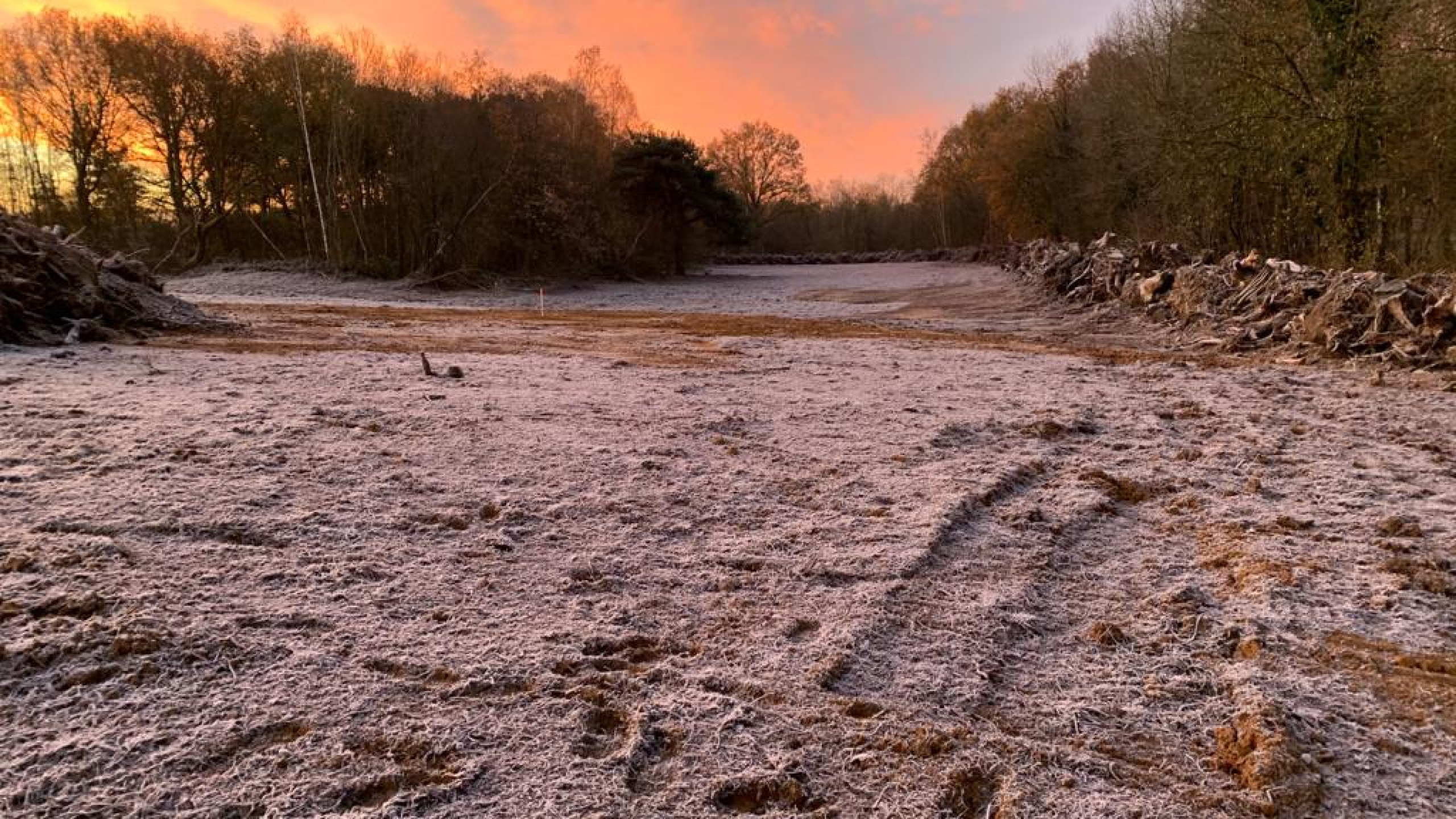 Projectgebied Ecoduct Teverenerheide in de vorst met zonsondergang