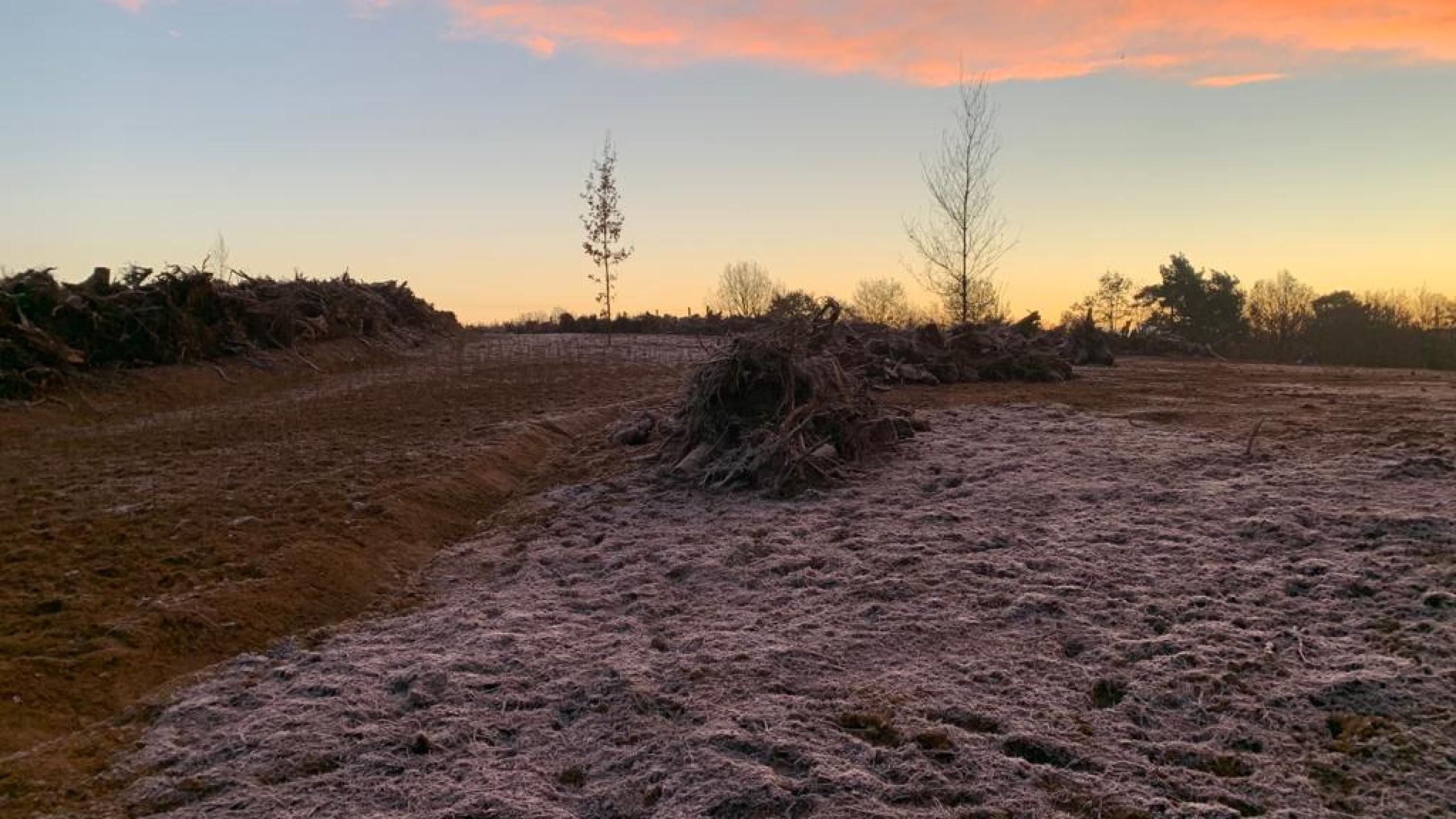 Projectgebied Ecoduct Teverenerheide in de vorst met zonsondergang