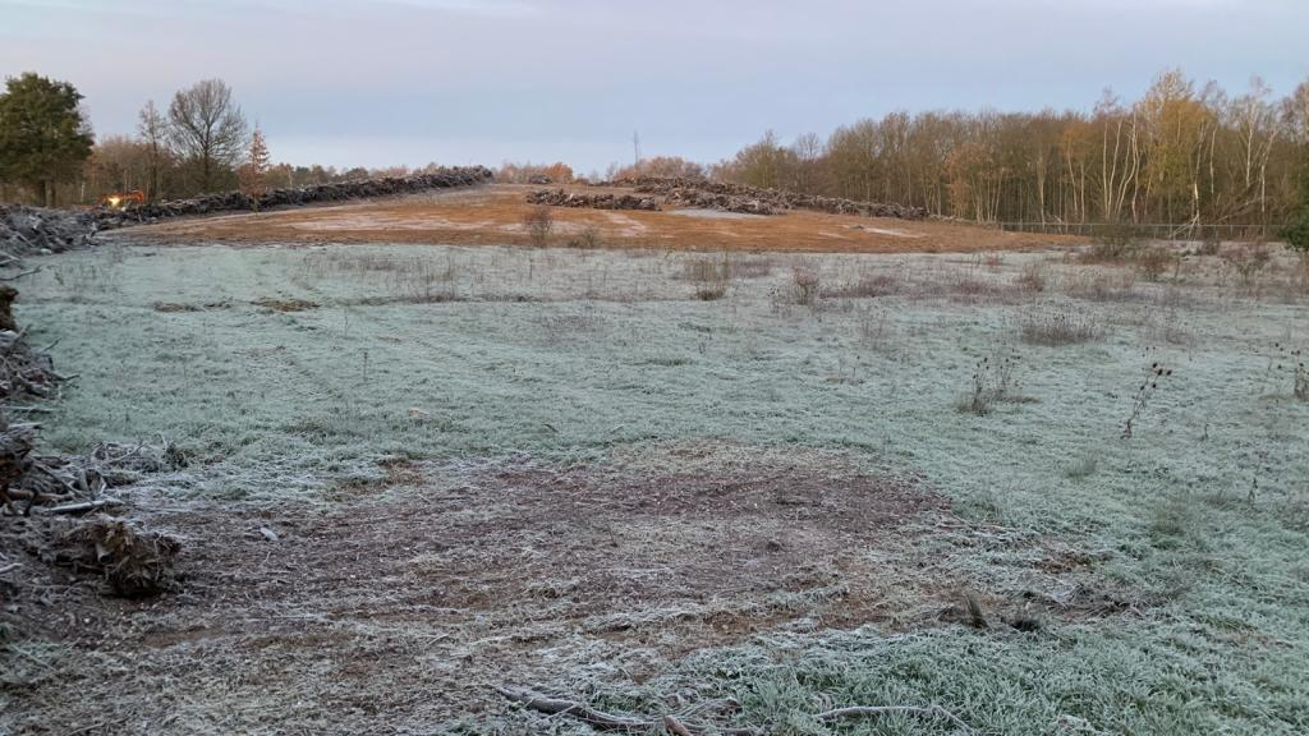 Projectgebied Ecoduct Teverenerheide in de vorst