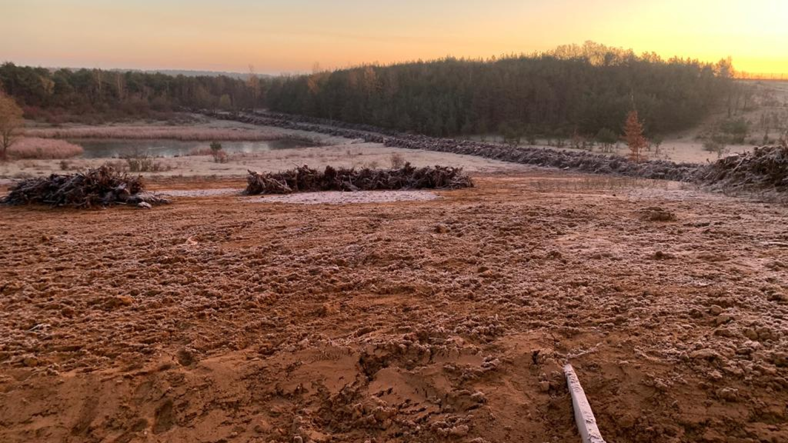 Projectgebied Ecoduct Teverenerheide in de vorst met zonsondergang