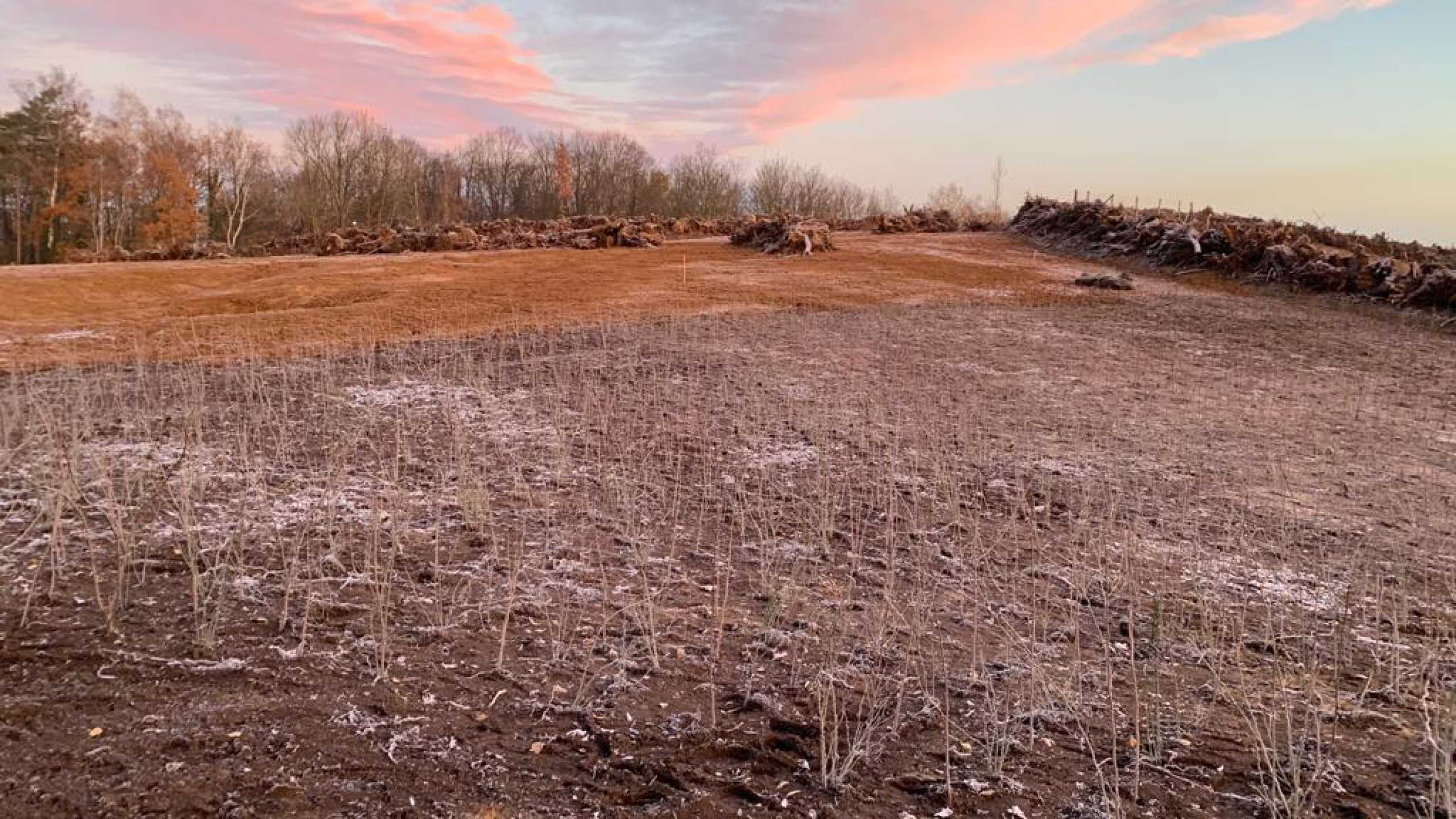 Projectgebied Ecoduct Teverenerheide in de vorst met zonsondergang