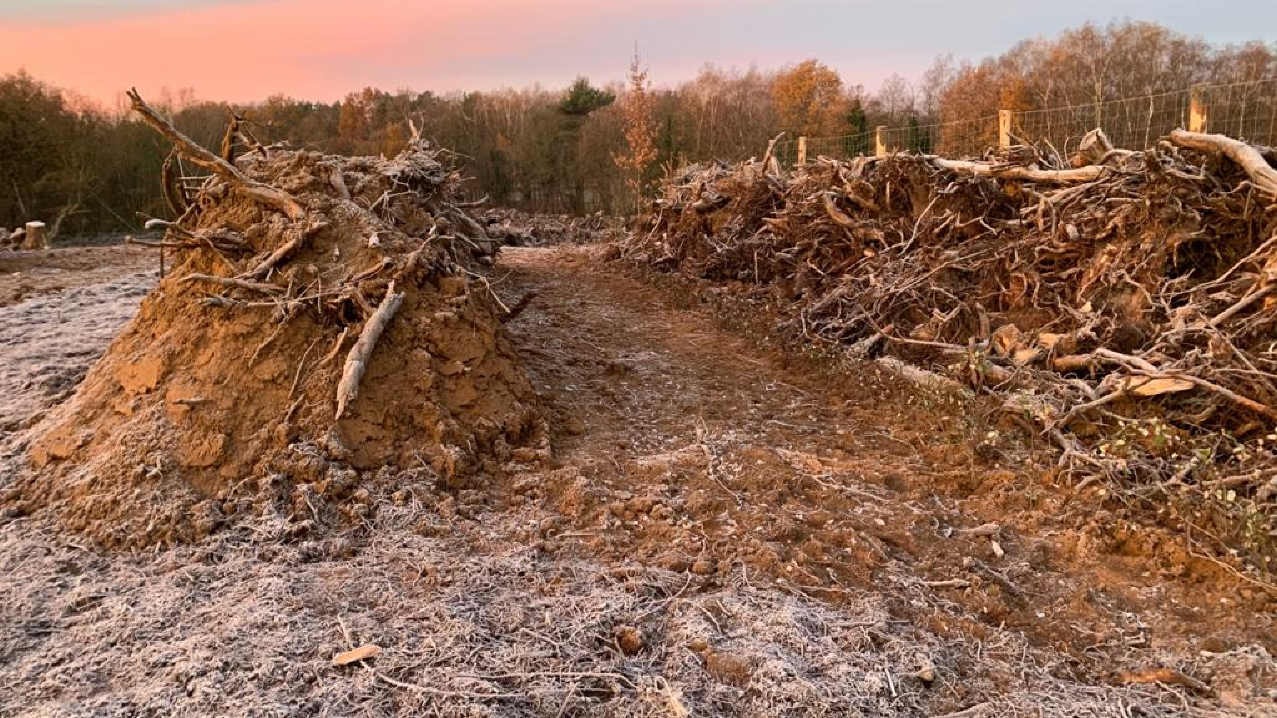 Projectgebied Ecoduct Teverenerheide in de vorst met zonsondergang