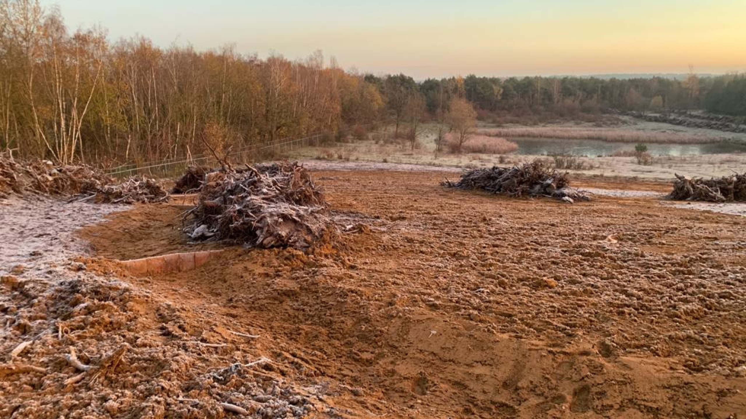 Projectgebied met zand en struiken in de vorst met zonsondergang