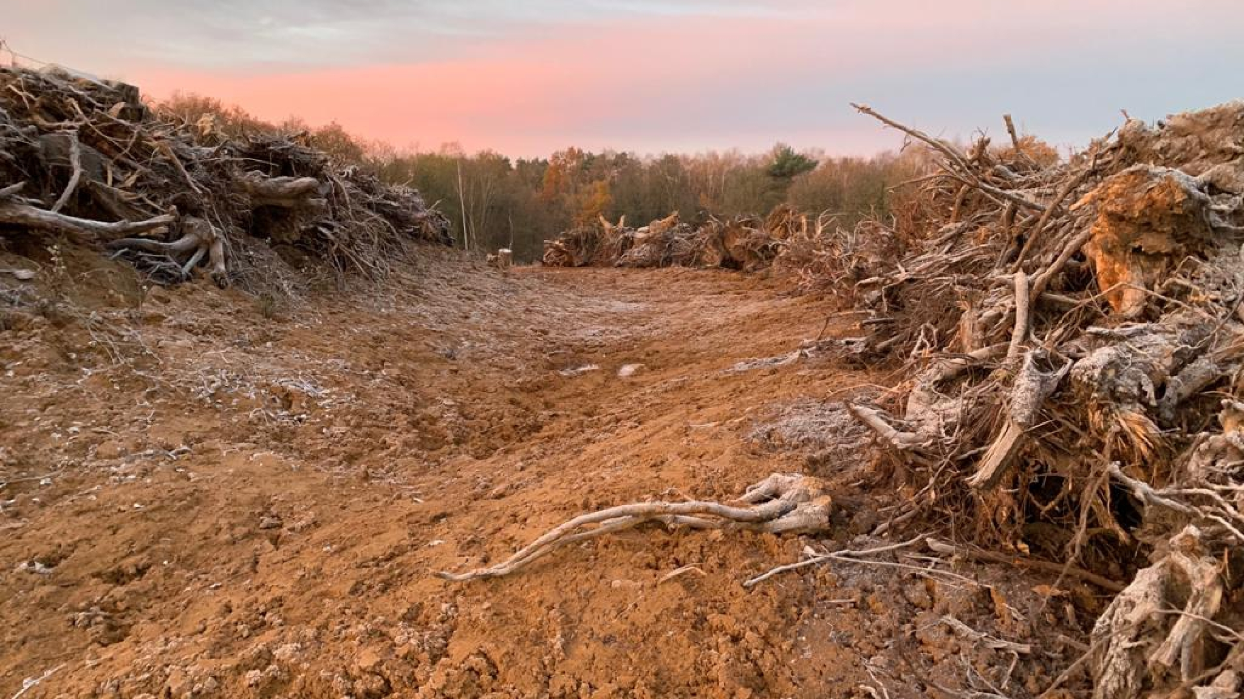 Projectgebied Ecoduct Teverenerheide in de vorst met zonsondergang