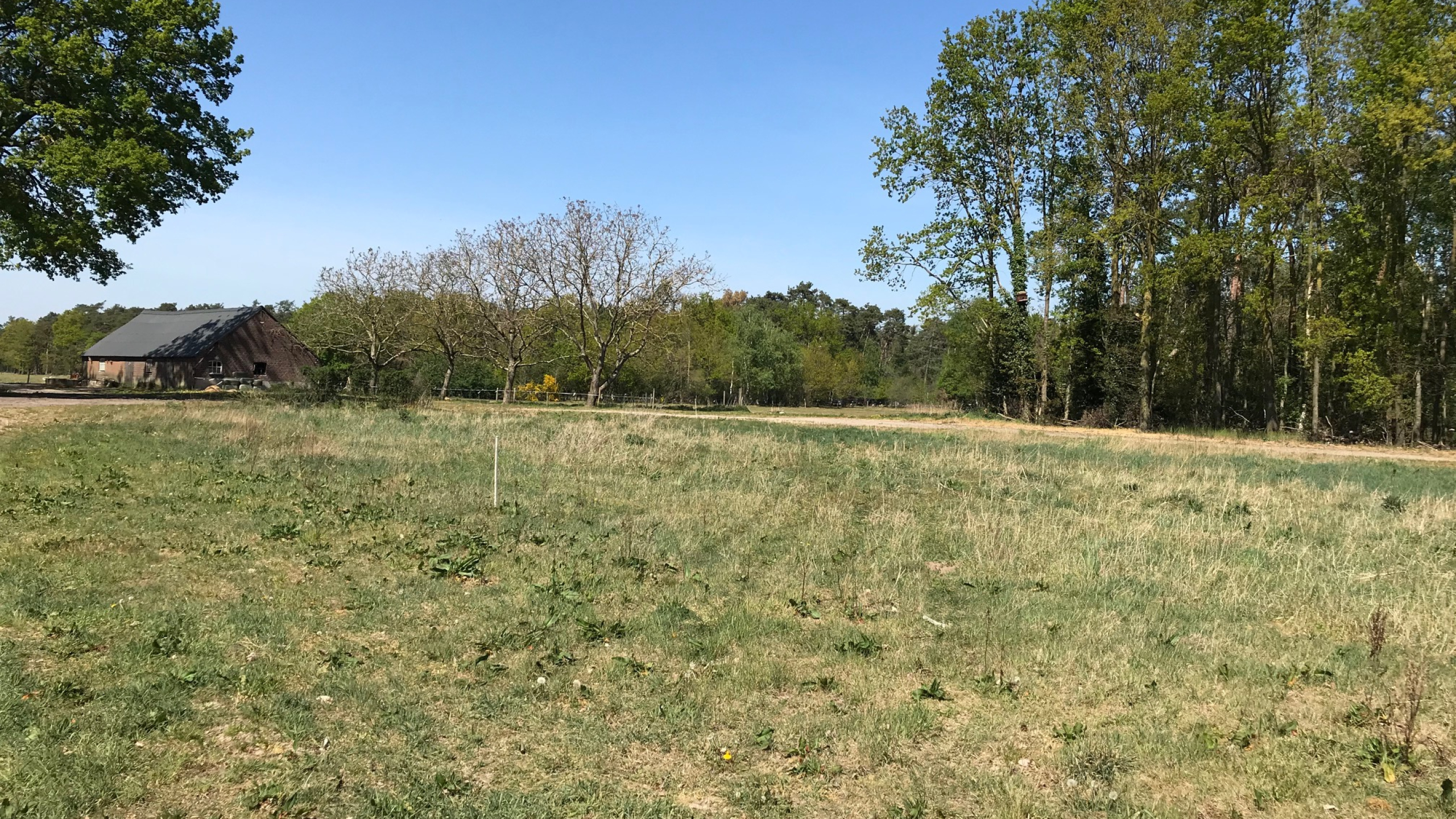 Grasveld met boerderij en bomen op de achtergrond