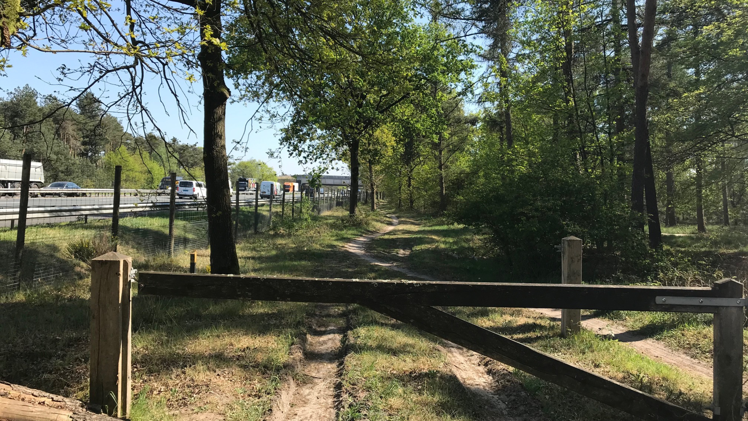Houten hek voor bospad in Greveschutven