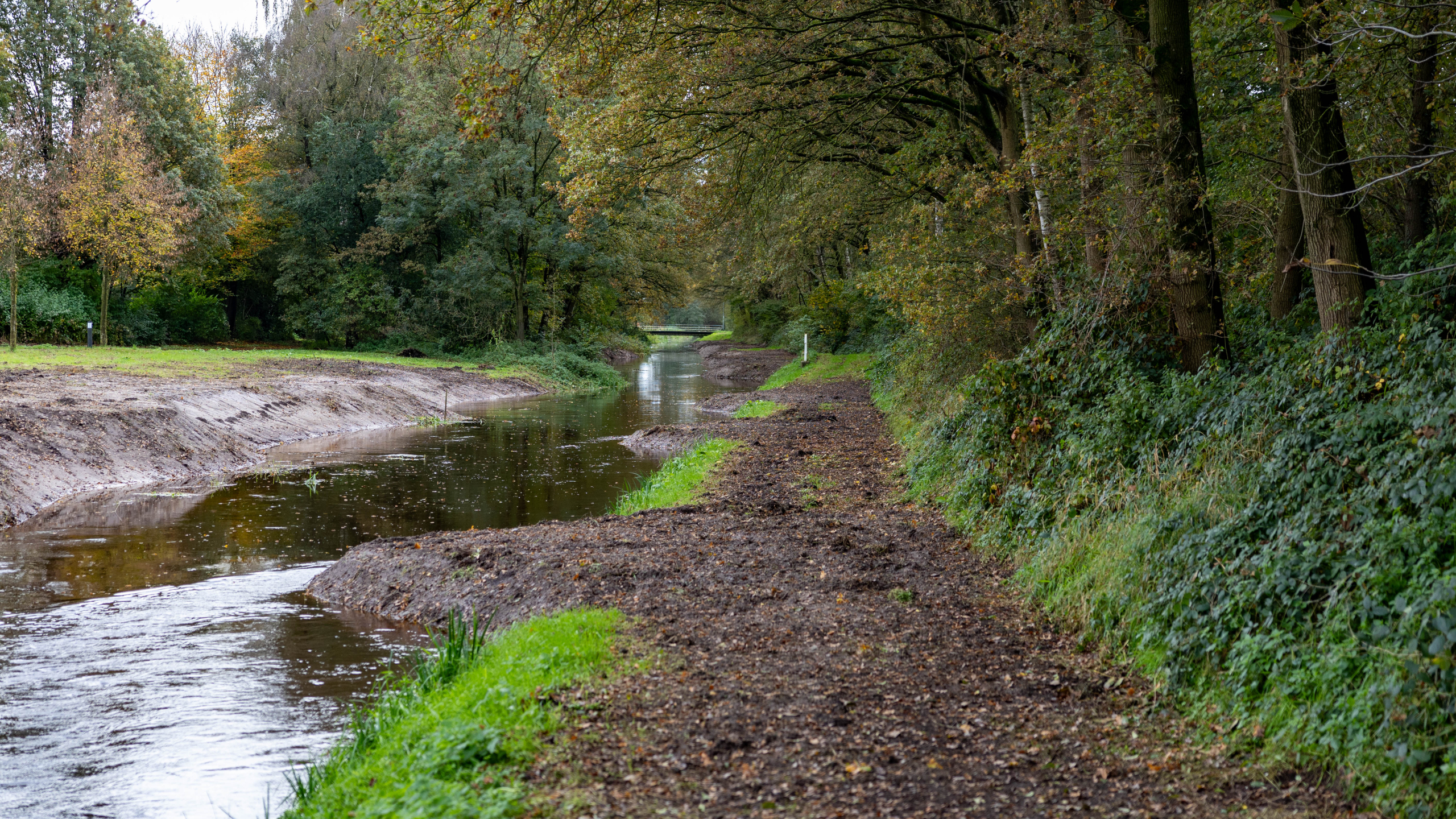 Ploegam shovel aan het werk op het zand