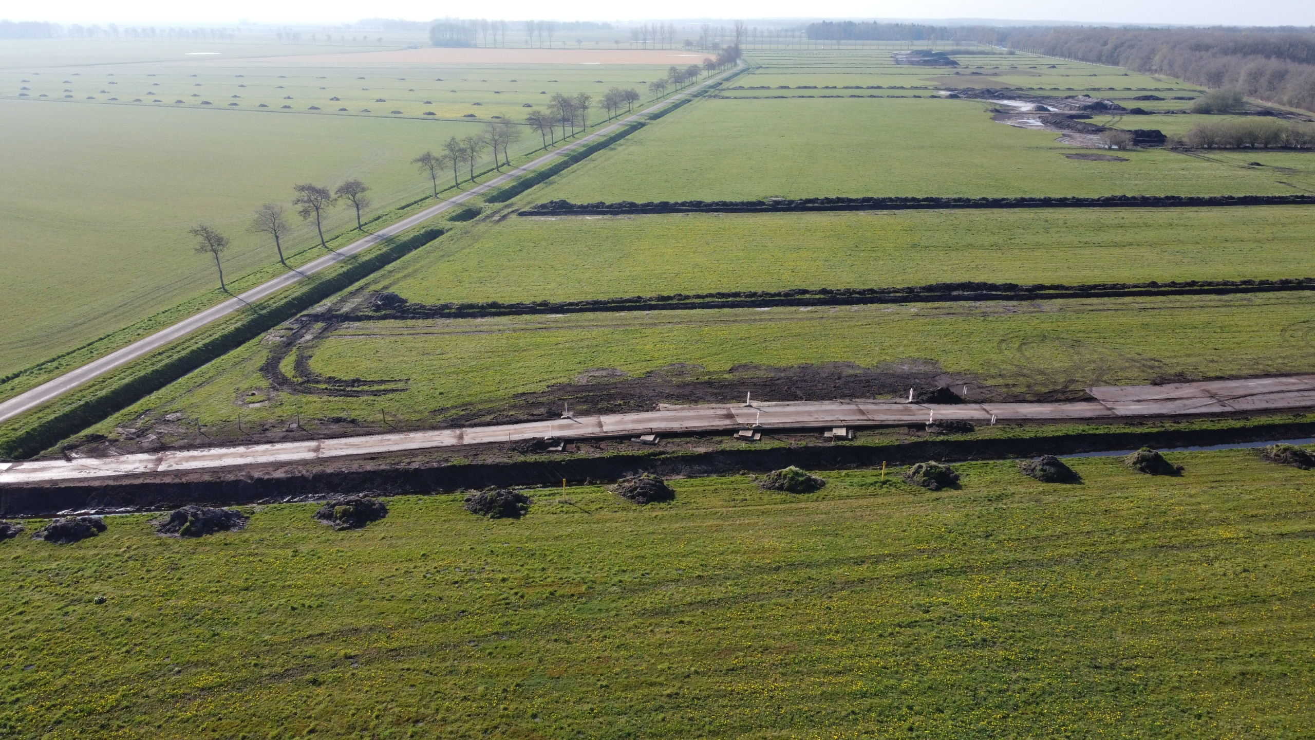 Dronefoto van weilanden in Natuurgebied de Branden