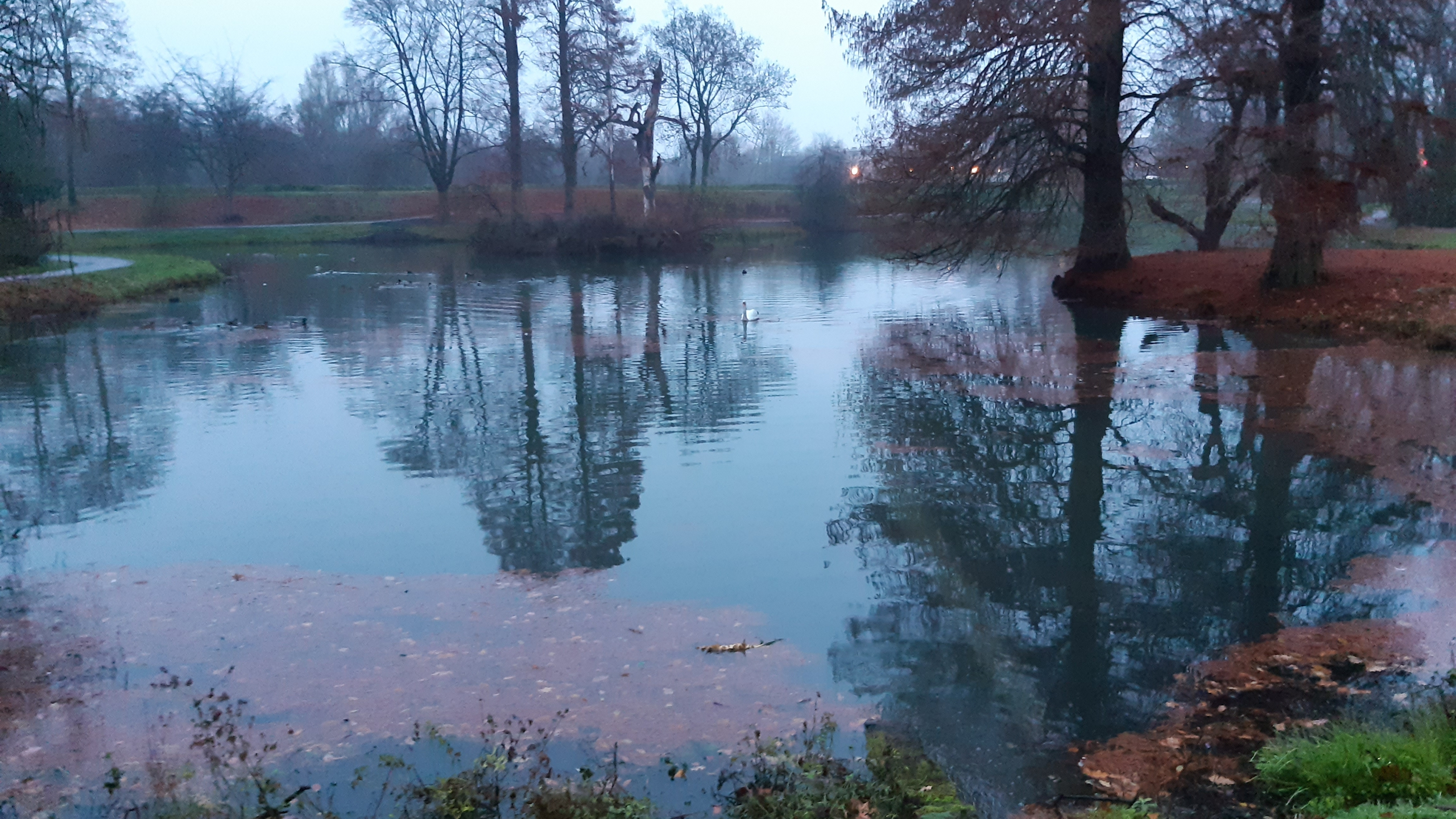 Stadswateren Roermond met bomen op de achtergrond