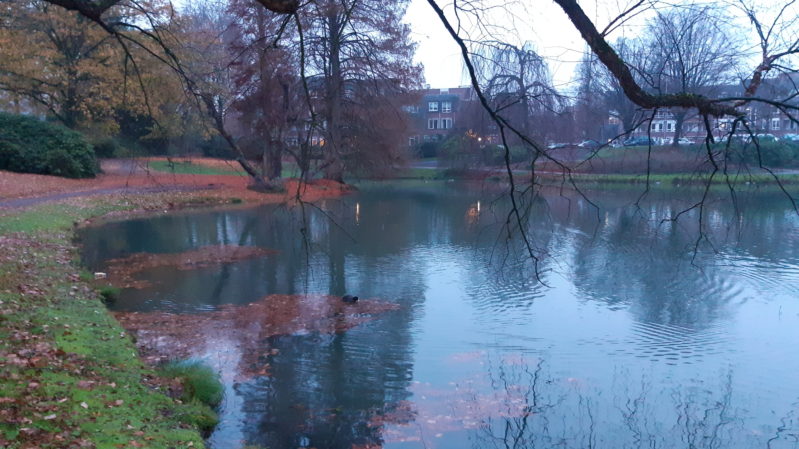 Stadswateren Roermond met bomen en huizen op de achtergrond
