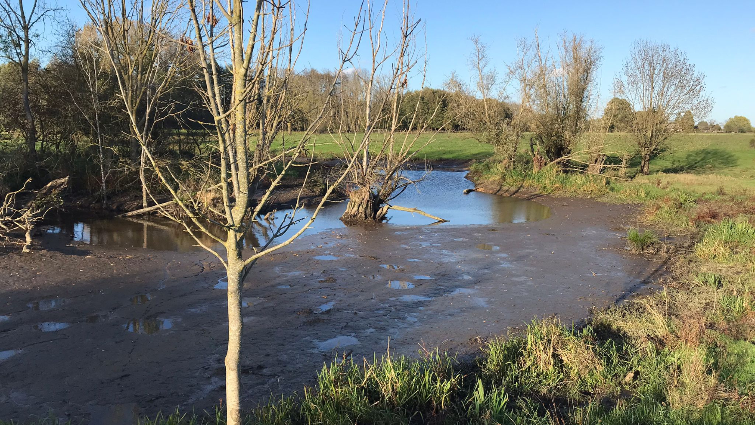 Molenbeek - Wylrebeek