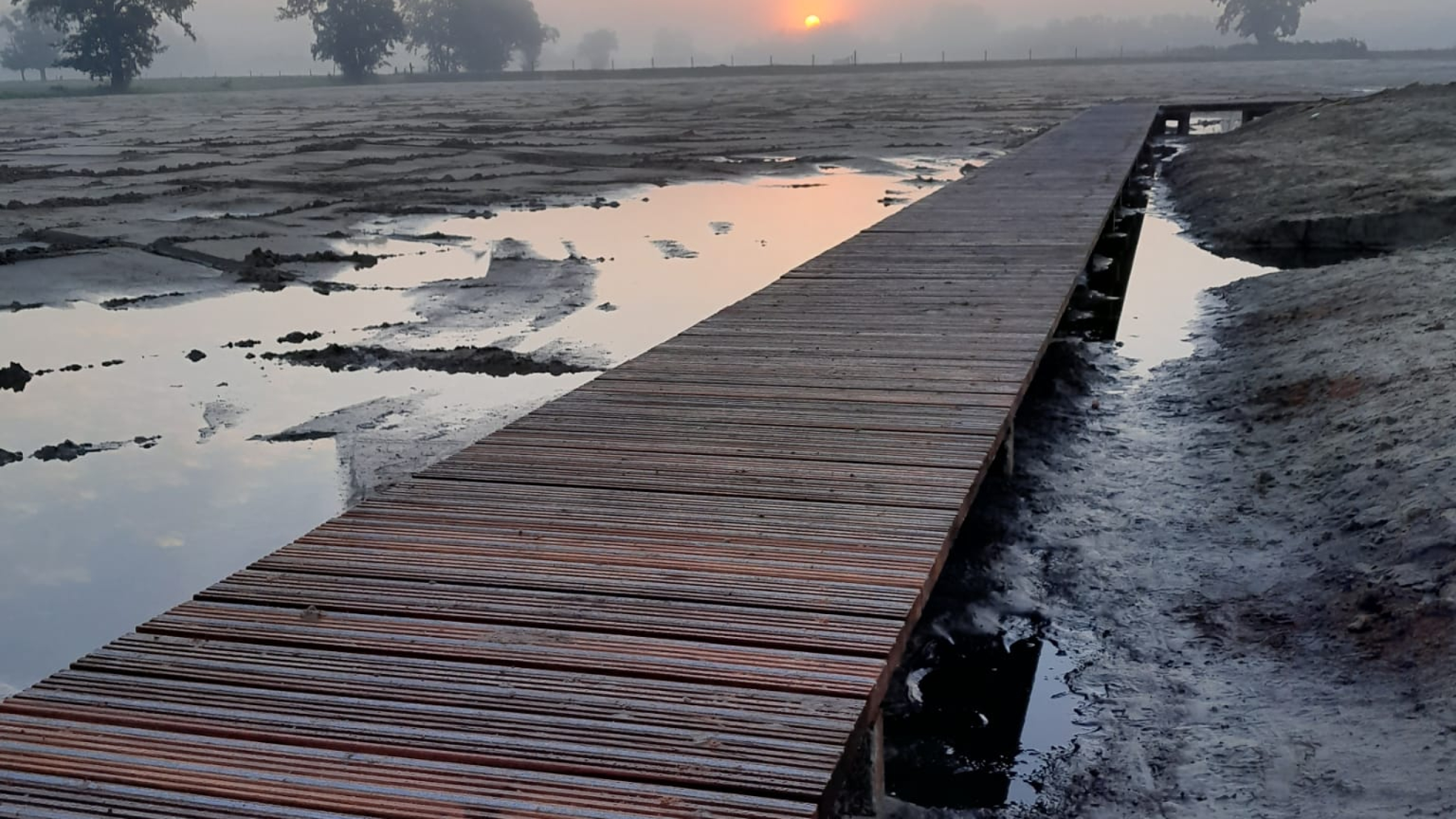 Houten vlonder over natuurgebied met water en zonsopgang op de achtergrond