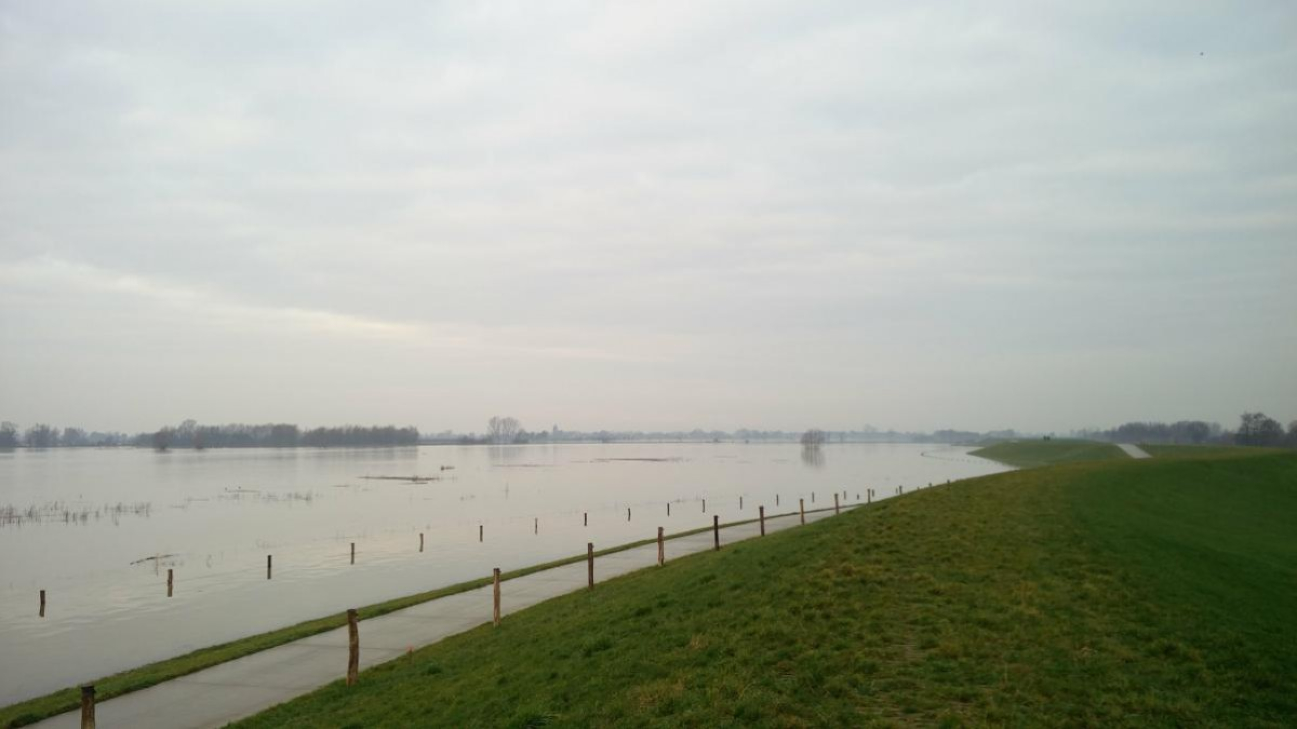 Hoogwater Zwolle